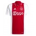 Ajax Brian Brobbey #9 Replik Heimtrikot 2024-25 Kurzarm